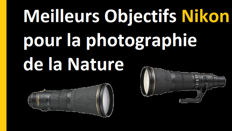 Meilleurs Objectifs Nikon Pour La Photographie De La Nature Topalphastore