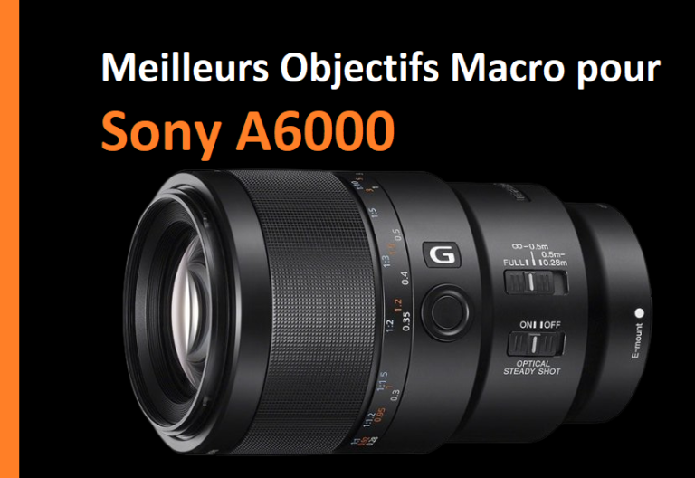 Meilleurs Objectifs Macro Pour Sony A Topalphastore