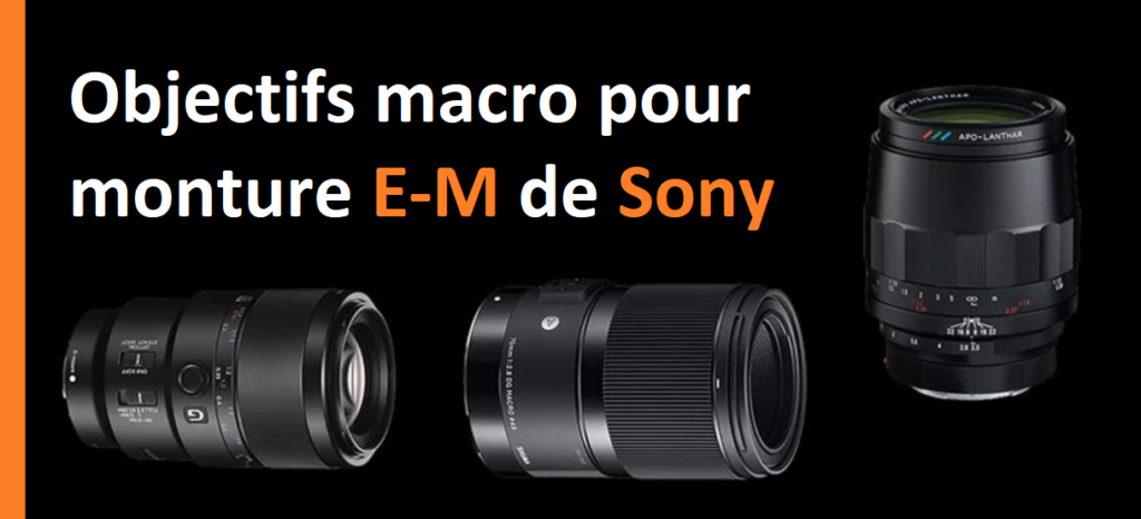 Guide des objectifs macro pour monture E-M de Sony