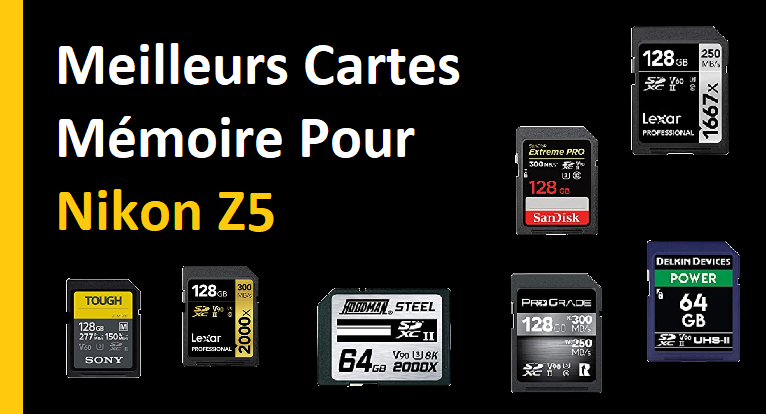 Meilleurs Cartes Mémoire Pour Nikon Z5