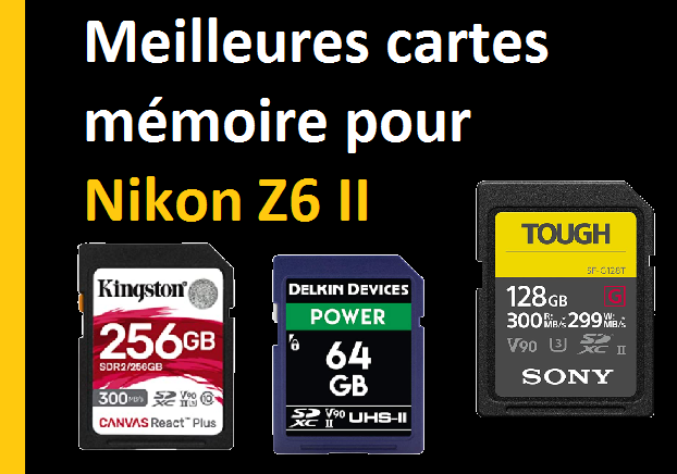 Meilleurs Cartes Mémoire Pour Nikon Z6II