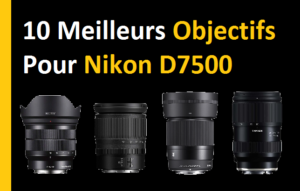 10 meilleurs objectifs pour Nikon D7500