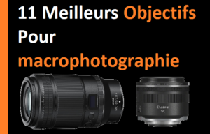 11 meilleurs objectifs pour la macrophotographie