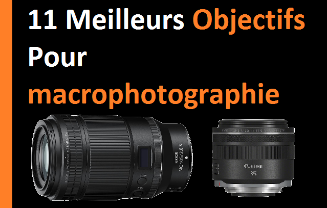 11 meilleurs objectifs pour la macrophotographie