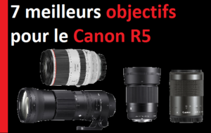 7 meilleurs objectifs pour le Canon R5
