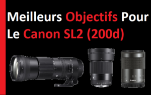 Les meilleurs objectifs pour le Canon SL2 (200d)