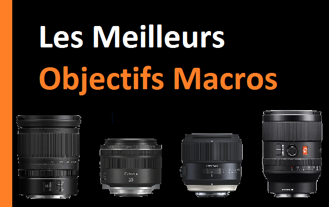 Les meilleurs objectifs macro