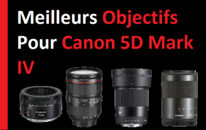 Les meilleurs objectifs pour le Canon 5D Mark IV