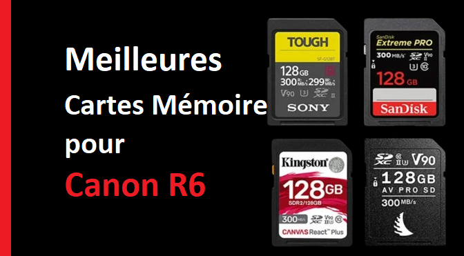 Meilleures Cartes Mémoire pour Canon R6