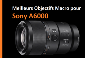 Meilleurs Objectifs Macro pour Sony A6000